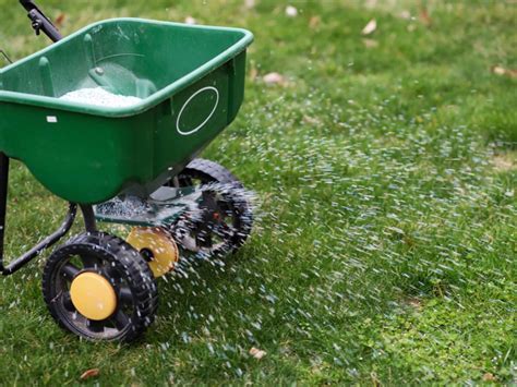 Fertilizer Tip/s .